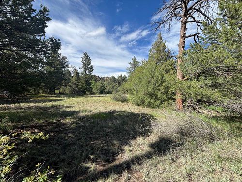 29655 Highway 64, Ute Park, NM, 87749-0046 | Card Image