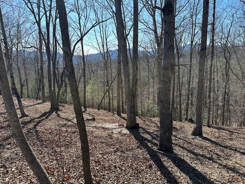 Lot 55 Asheland Cove Dr, Young Harris, GA, 30582 | Card Image