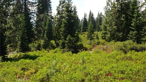 0 Echo Way, McCloud, CA, 96057 | Card Image