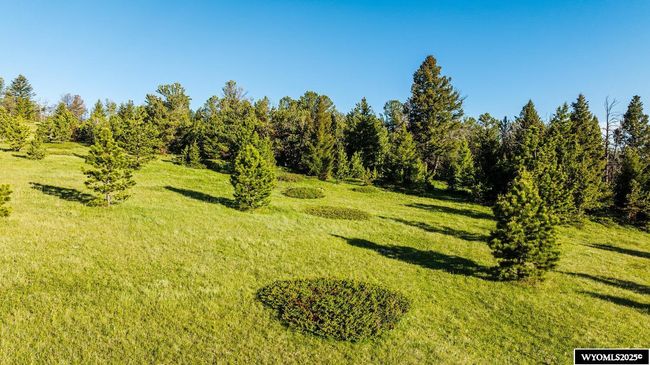 22 High Meadow Rd, Home with 0 bedrooms, 0 bathrooms and null parking in Buffalo WY | Image 6