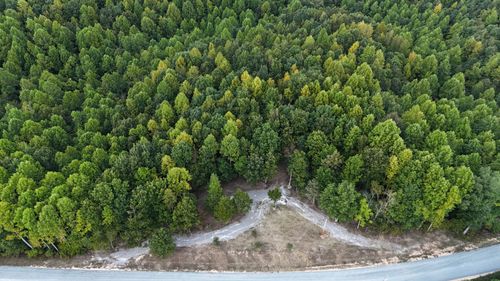 4439 Old Hohenwald Rd, Linden, TN, 37096-2073 | Card Image