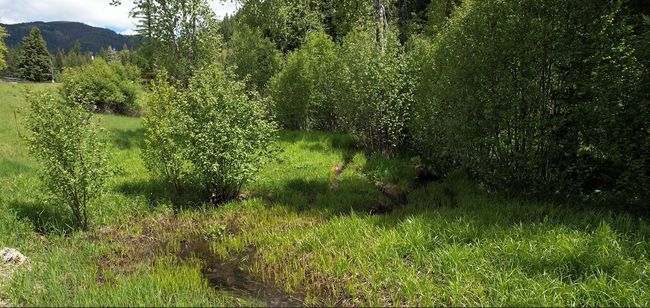 1876 Timber Creek Rd, House other with 8 bedrooms, 6 bathrooms and null parking in Haugan MT | Image 79