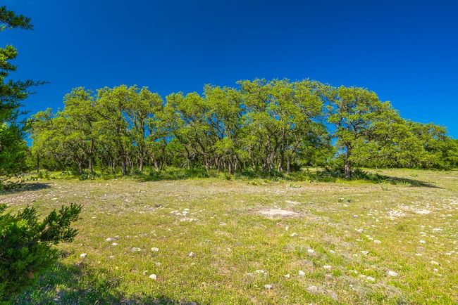 2068 S Laird Rd, Home with 0 bedrooms, 0 bathrooms and null parking in Harper TX | Image 39