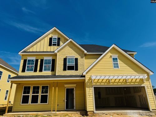 345 Rising Stream Way, Chapin, SC, 29036 | Card Image