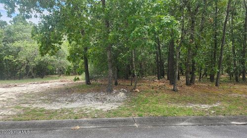 188-537 Estevao Ln Se, Bolivia, NC, 28422-1201 | Card Image