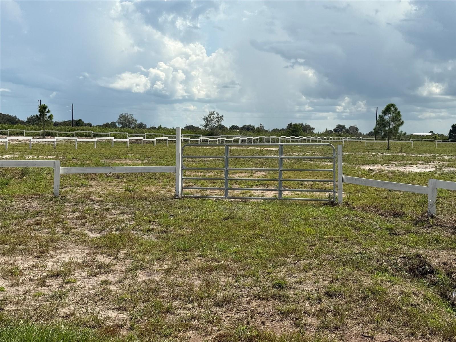 Land in OKEECHOBEE