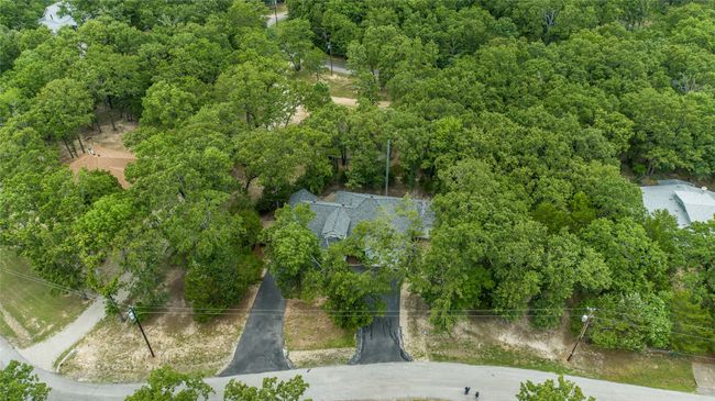 Drone / aerial view of a forest | Image 37