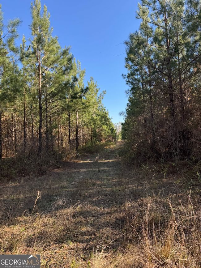 0 Hightower Rd, Home with 0 bedrooms, 0 bathrooms and null parking in Blakely GA | Image 9