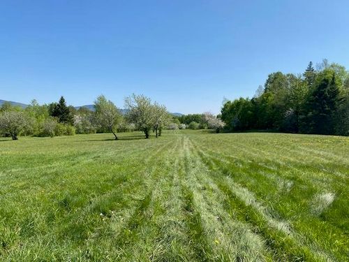Off Reed Road, Colebrook, NH, 03576 | Card Image