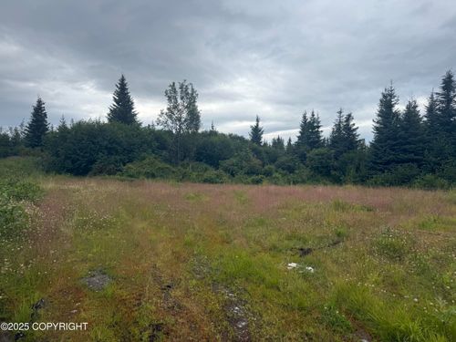 31511 Kalugin Pl, Nikolaevsk, AK, 99556 | Card Image