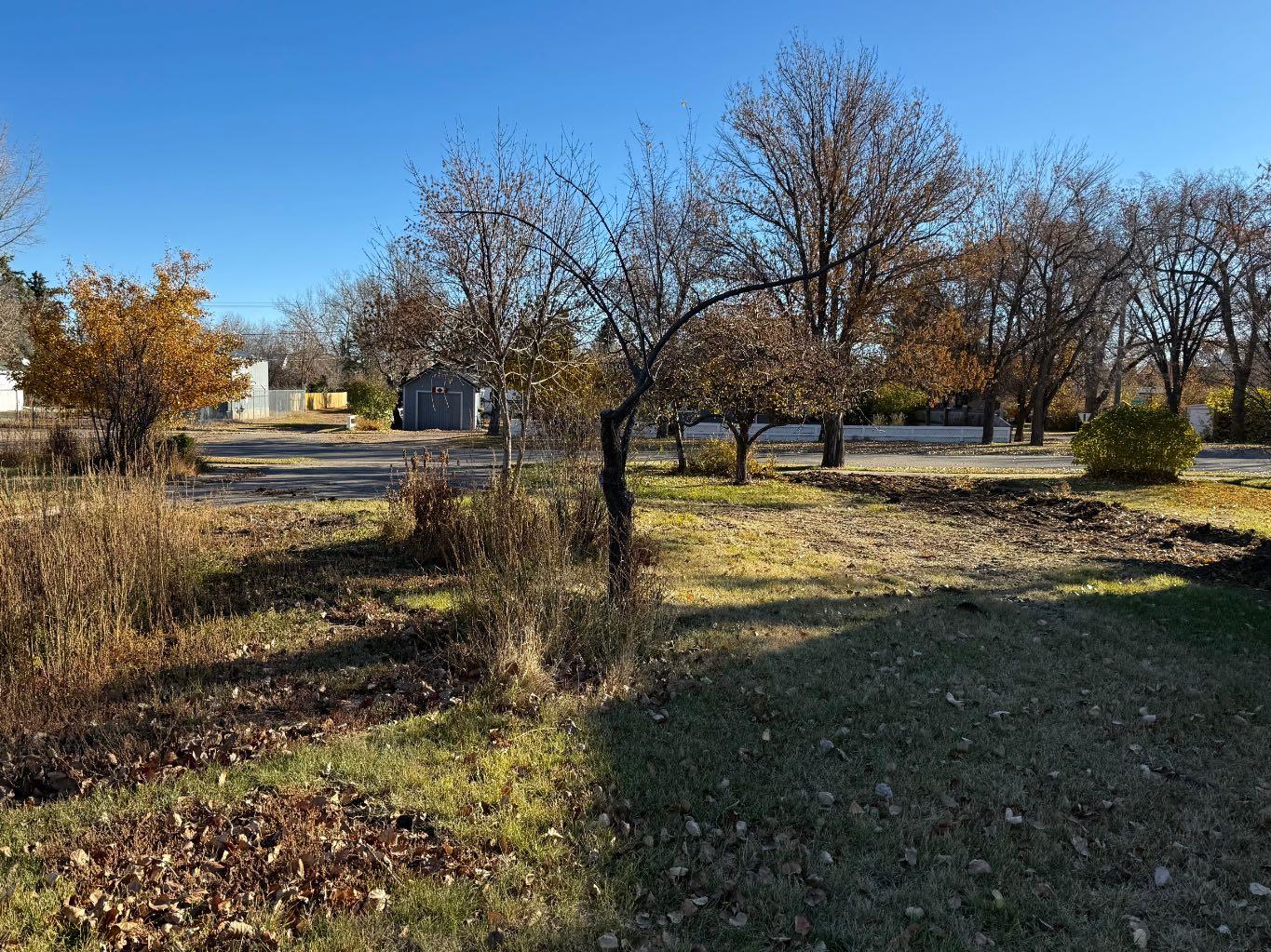 Land in Carmangay 2