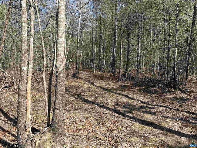 4064 Deep Creek Rd, House other with 2 bedrooms, 1 bathrooms and null parking in KENTS STORE VA | Image 34