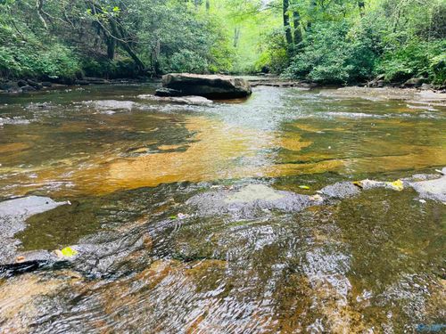 55ac County Road 270, Fort Payne, AL, 35967 | Card Image