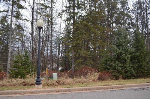 Lot #24 Deer Tail Lane, Rib Mountain, WI, 54401 | Card Image