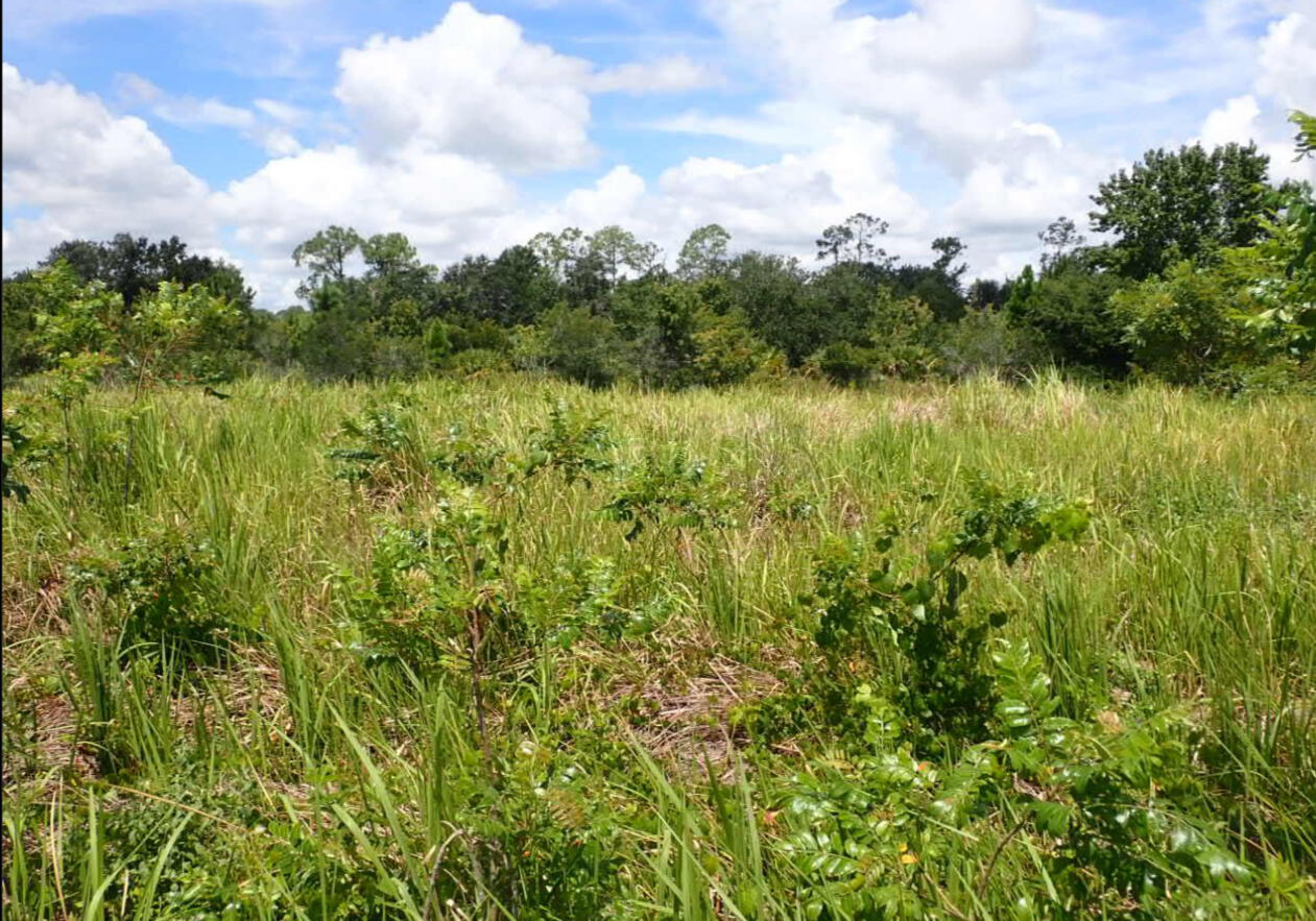 Land in Kissimmee 4