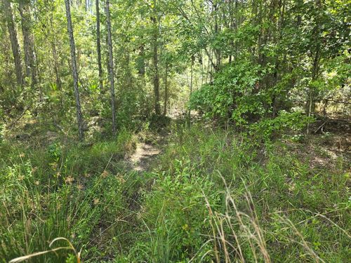 Lot 69 Magnolia Plantation, White Oak, GA, 31568 | Card Image