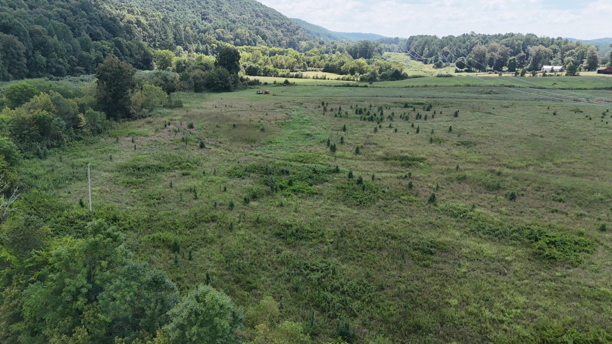 Land in Riceville 3