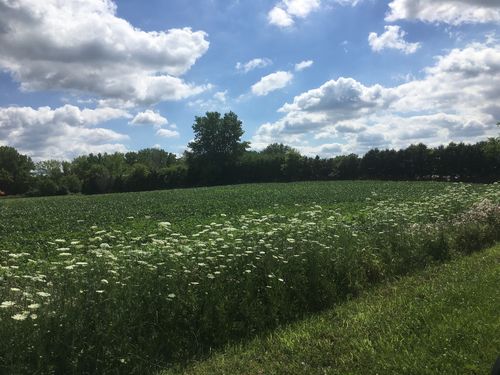 lot1 and lot1a Koppie Road, Gilberts, IL, 60136 | Card Image