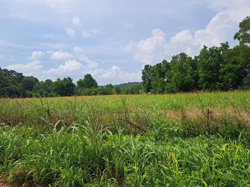 000 Reindeer Road, Granby, MO, 64844 | Card Image