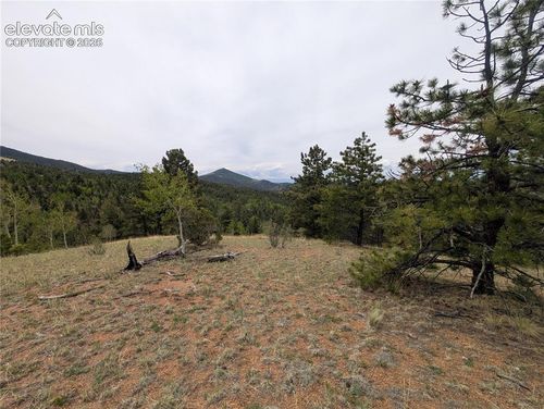 16 Princess Ln, Cripple Creek, CO, 80813 | Card Image