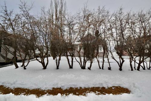 660 1 Ave, Irricana, AB, T0M1B0 | Card Image