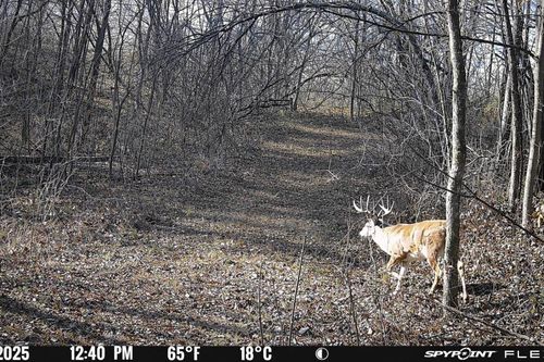 59 +/- Ac State Hwy 80, Orion, WI, 53581 | Card Image