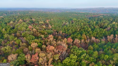 0 Dennis Creek Rd, Talbotton, GA, 31827 | Card Image