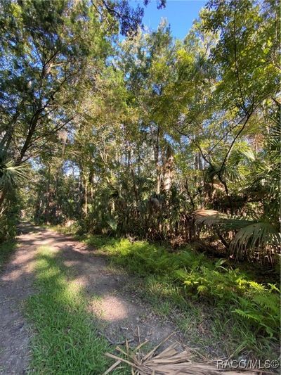 10140 W Pennsylvania Street, Home with 0 bedrooms, 0 bathrooms and null parking in Homosassa FL | Image 3