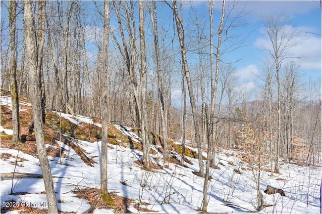 48 Durkin Rd, Home with 0 bedrooms, 0 bathrooms and null parking in North Creek NY | Image 55