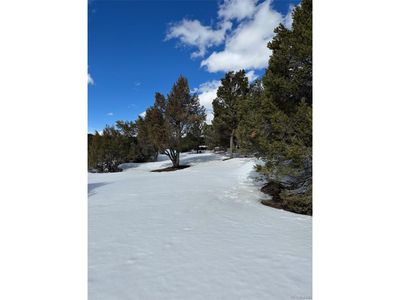 10383 Road 36.7, Home with 0 bedrooms, 0 bathrooms and null parking in Mancos CO | Image 3