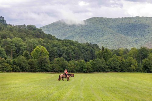 41 News Rd, Eagle Rock, VA, 24085-3471 | Card Image