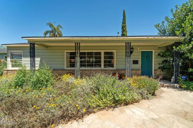 front | Image 5