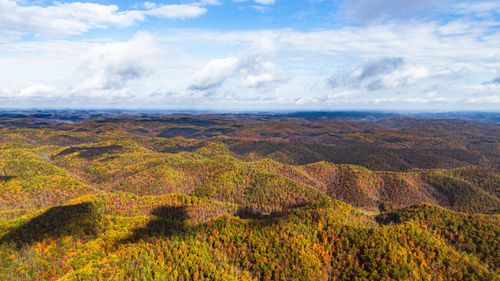 25 Tar Frk, Vanceburg, KY, 41179-5812 | Card Image