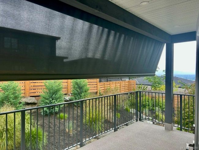 New Privacy Screen | Image 26