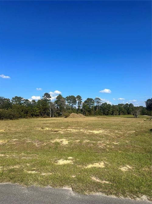 38553 Wooded Meadow Dr, UMATILLA, FL, 32784-9438 | Card Image