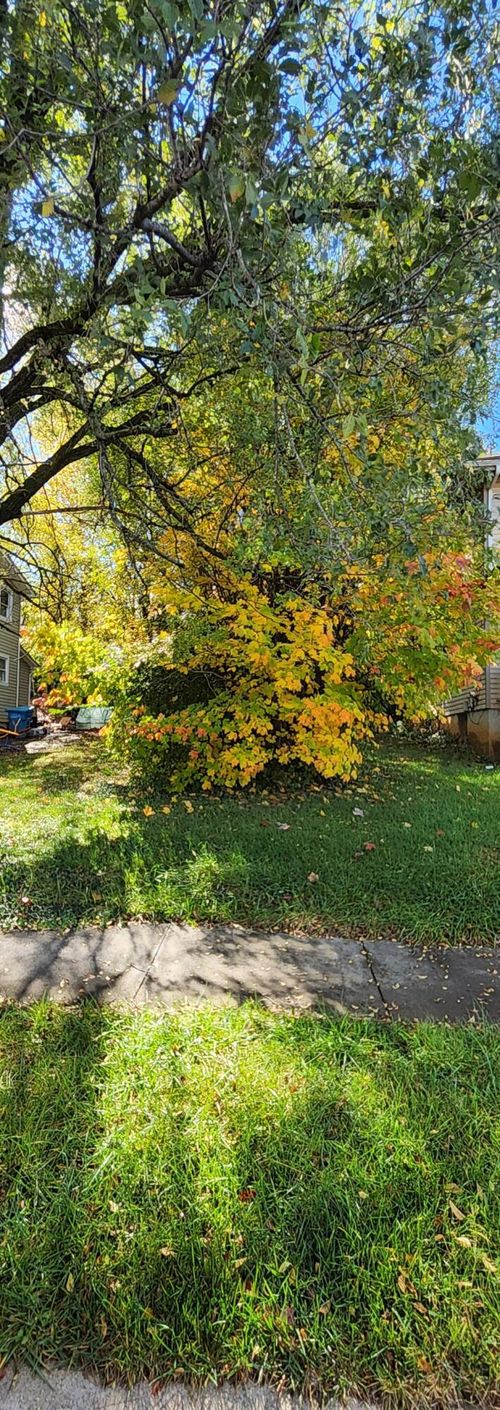 0 Melrose Ave Nw, Roanoke, VA, 24017 | Card Image