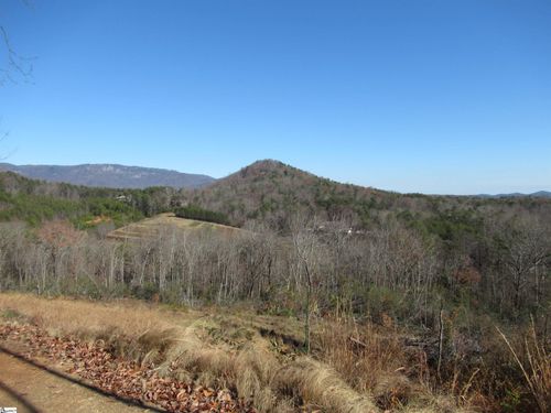 Tracts 34, 35, 36 Curts Way, Cleveland, SC, 29635 | Card Image