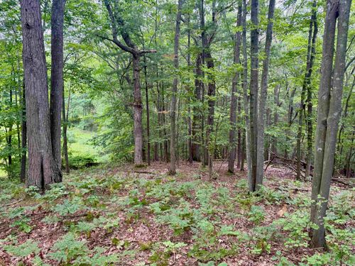 35 Brook Hl, Glen Arbor, MI, 49636 | Card Image