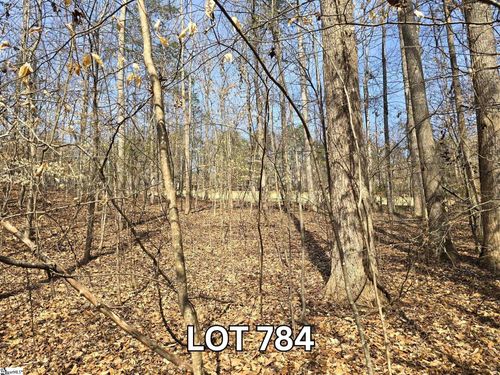 LOT 784 S Hogan Dr, Westminster, SC, 29693-6521 | Card Image