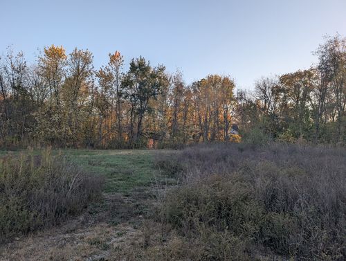 510 N Grove St, Farmer City, IL, 61842 | Card Image