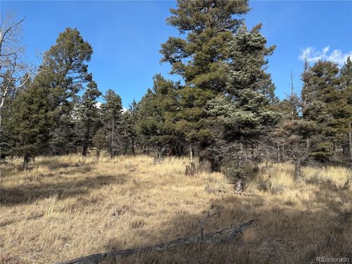 310 Morley Pl, Fort Garland, CO, 81133 | Card Image