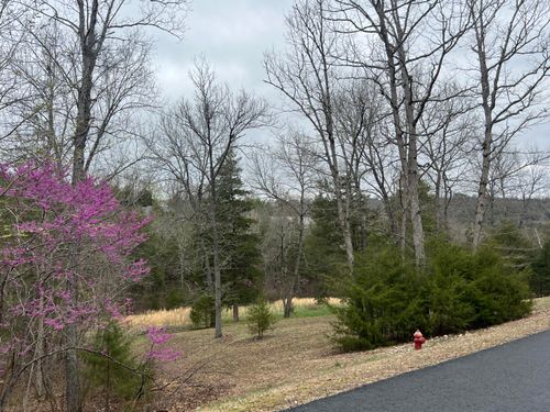 000 Appaloosa Trl, Chestnutridge, MO, 65630 | Card Image