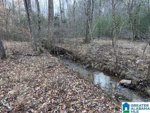 45-170 Valley Grove Rd, Alexander City, AL, 35010-7936 | Card Image