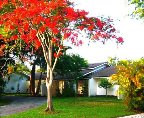 17123 Sw 78th Pl, Palmetto Bay, FL, 33157-4761 | Card Image