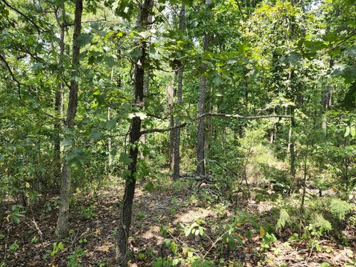 Tbd Country Aire Ln, Mountain Grove, MO, 65711 | Card Image