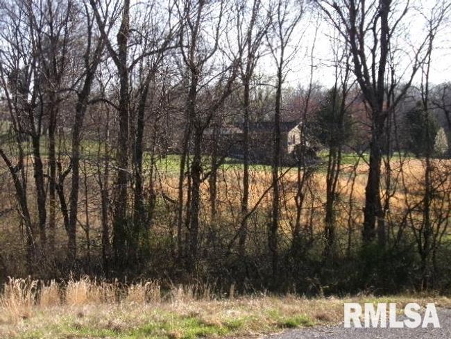 2225 Route 34, House other with 4 bedrooms, 2 bathrooms and null parking in Rosiclare IL | Image 62