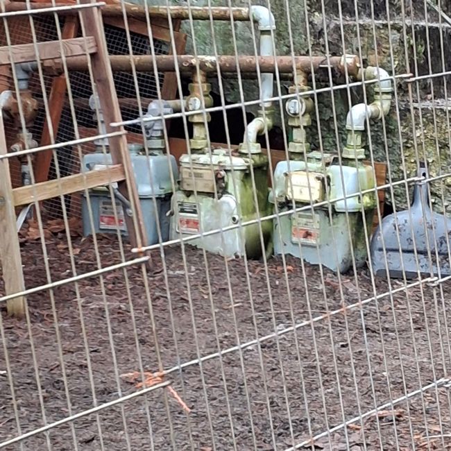 View of gate | Image 8