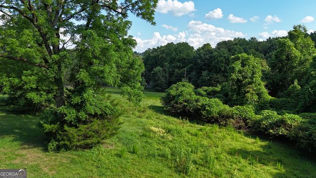 1780 Double Bridge Rd, House other with 3 bedrooms, 4 bathrooms and null parking in Demorest GA | Image 88