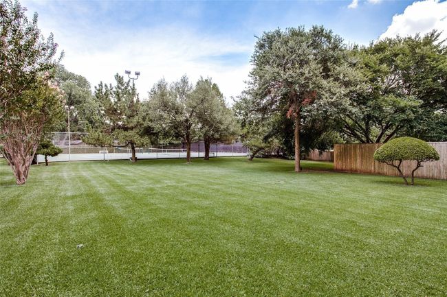 View of yard | Image 29