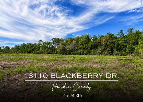 13110 Blackberry Dr, Lumberton, TX, 77657-1219 | Card Image